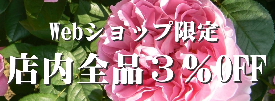 バラ苗,日・Kawamoto Rose Garden（河本バラ園） | バラとハーブの専門ショップ 大神（おおが）ファーム